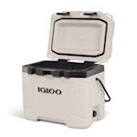 Ejemplo 10 del producto seleccionado