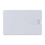 Example 2 of selected product