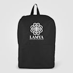 Example 2 of selected product