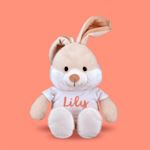 Ejemplo 2 del producto seleccionado