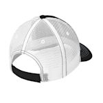 Example 2 of selected product