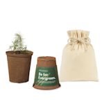 Example 2 of selected product