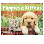 Example 3 of selected product