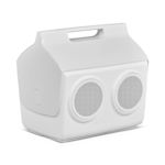 Example 11 of selected product