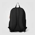 Example 6 of selected product