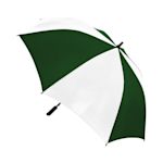 Example 2 of selected product