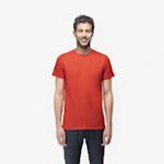 Example 4 of selected product