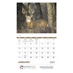 Example 2 of selected product