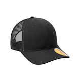 Example 5 of selected product