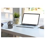 Ejemplo 16 del producto seleccionado