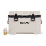 Example 16 of selected product