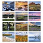 Example 5 of selected product