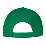 Example 2 of selected product