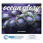 Example 4 of selected product