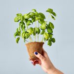 Example 6 of selected product