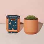 Example 2 of selected product