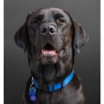 Example 3 of selected product