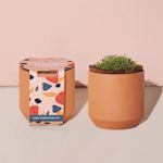 Example 4 of selected product