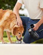 Ejemplo 8 del producto seleccionado