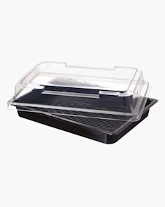 Caixas para sushi