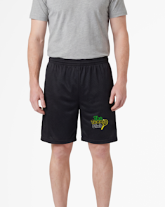 Pantalones y shorts