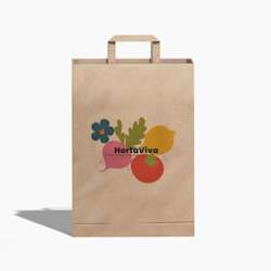 Sacos de papel kraft com asa plana