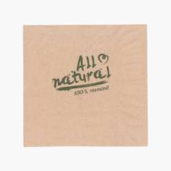 Guardanapos de papel reciclados 2 folhas - 33 x 33 cm - dobra a 1/4 - castanho natural - 2000 unidades