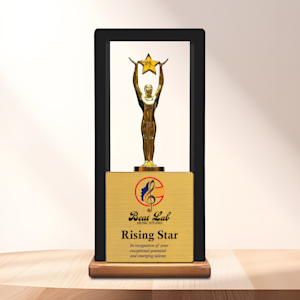 BNS 133 > Overview Image