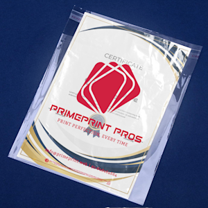 Transparent Seal Bags > Overview Image