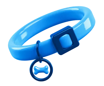 A decorative pet related product