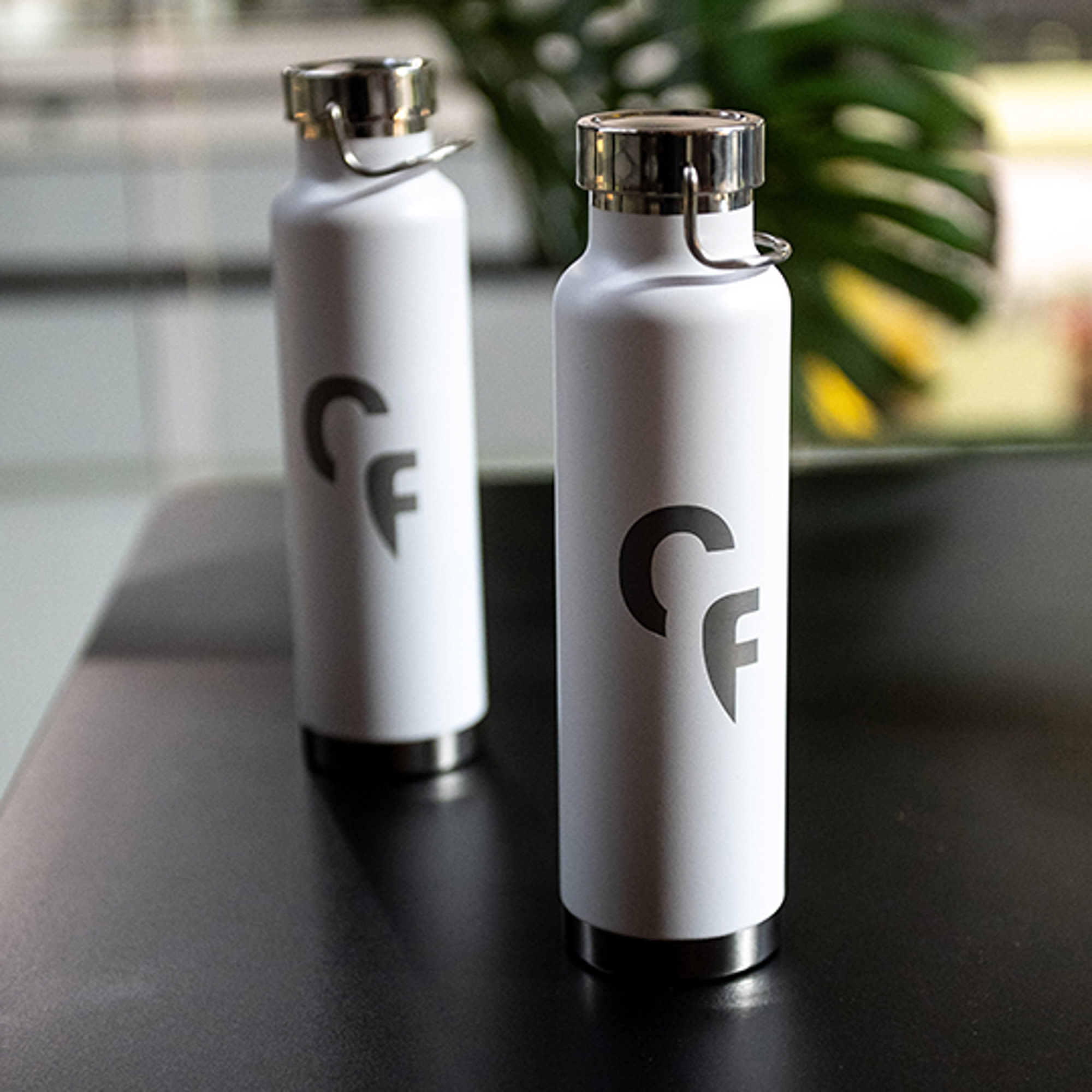 Thor Copper Vaccum Insulated Bottle