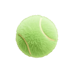 A decorative pet related product