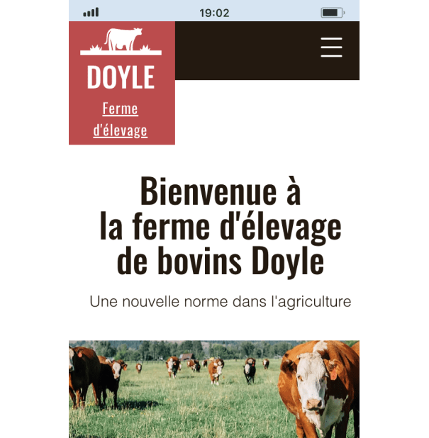 Exemple 2 d’un graphisme de site web populaire pour ordinateur et mobile.