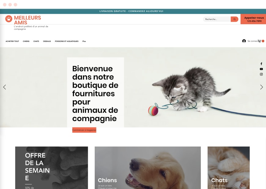 Exemple 10 d’un graphisme de site web populaire pour ordinateur et mobile.