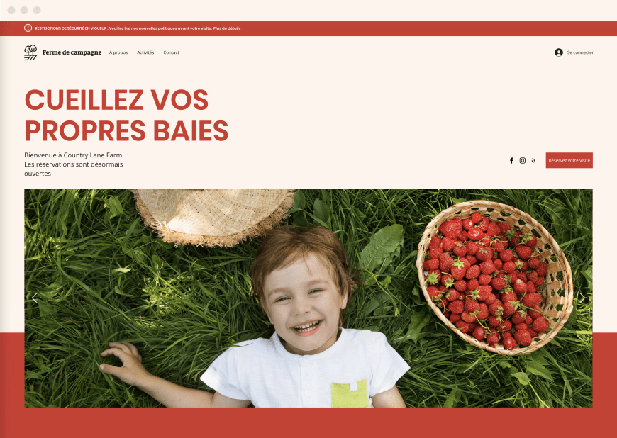Exemple 3 d’un graphisme de site web populaire pour ordinateur et mobile.