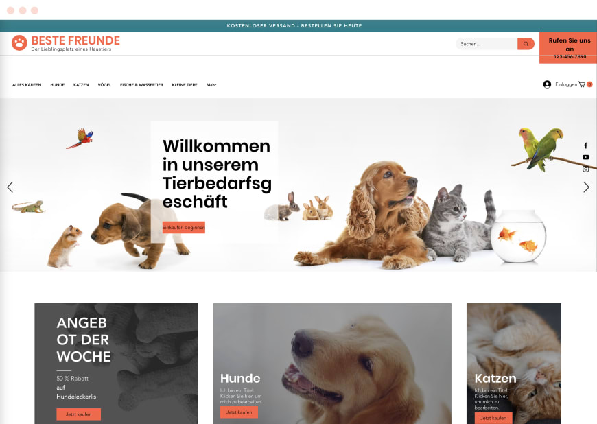 10. Beispiel eines beliebten Website-Designs als Desktop- und mobile Version.