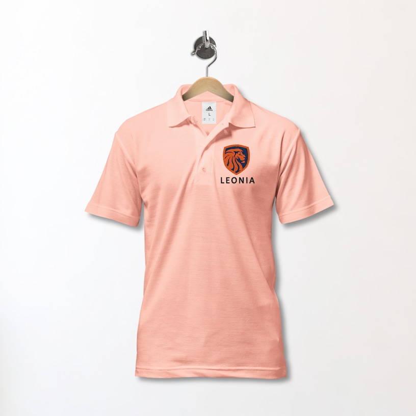 Example 6 of selected product