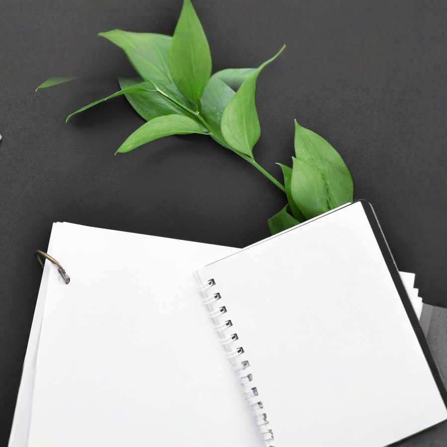 Japan Metallic Ballpoint Pen > Hero img4