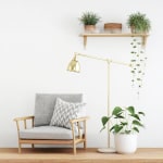 Pikmee Tipline Double tipped Polo T-shirts - Men