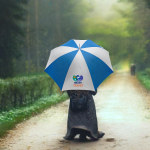 Sun Walking Stick Umbrellas > Hero img1