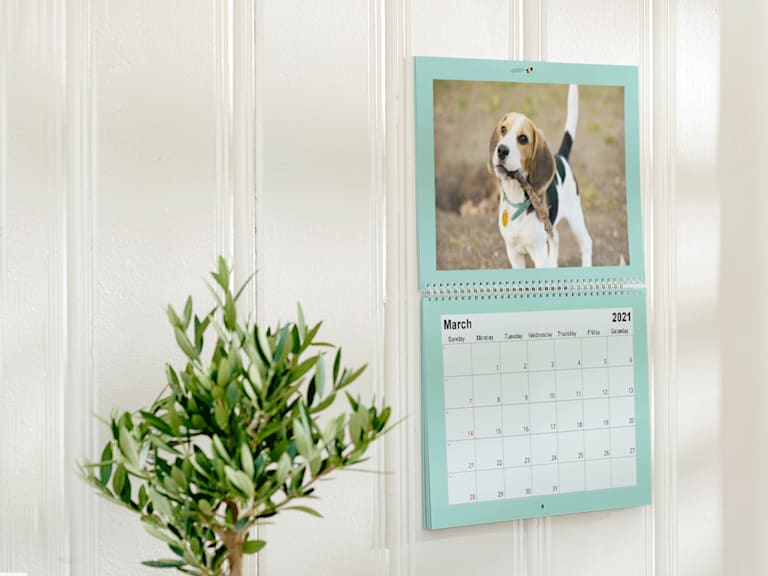 Custom Calendars Personalised Calendars 2021 Vistaprint SG