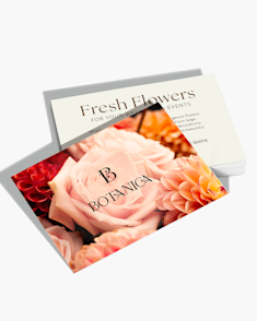 Marketing Materials