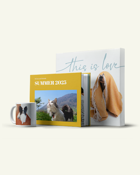 Geschenke nach Preis