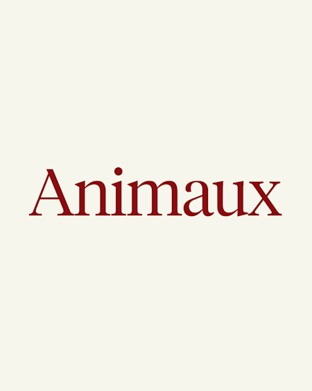 Cadeaux pour les animaux de compagnie 