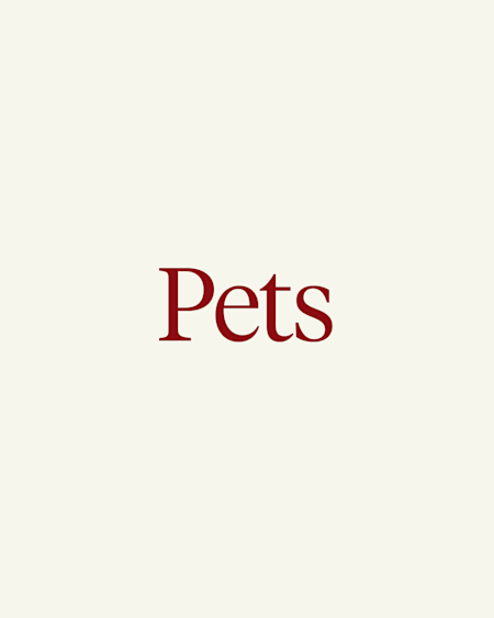 Gifts for Pets 