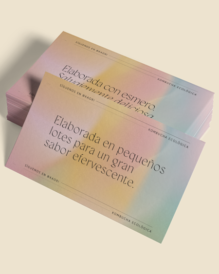 Flyers y publicidad impresa 