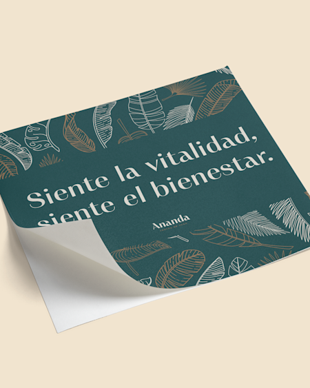 Vinilos
