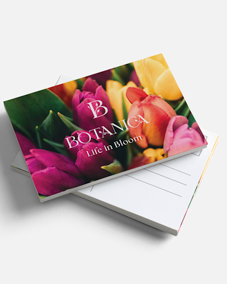 Florists Postcards