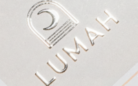 Silver Raised Foil