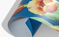 Laminated Matte
